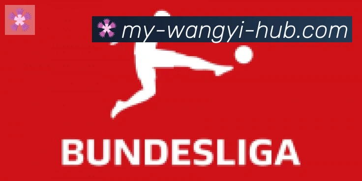 网易体育合作伙伴